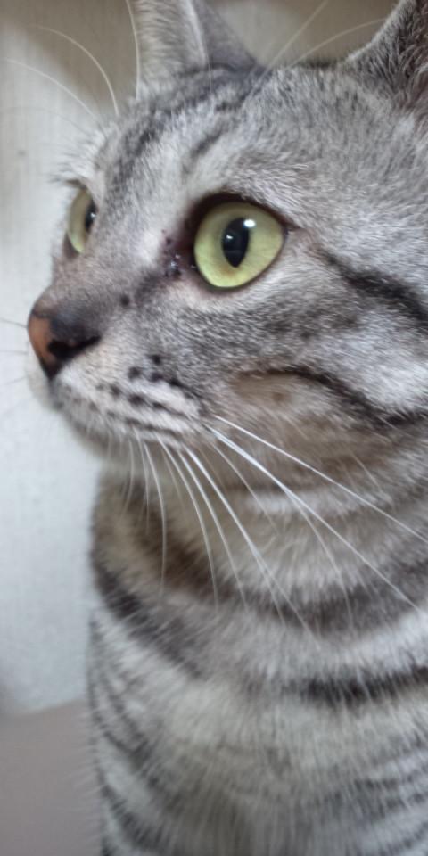 NowLoading...