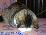 NowLoading...
