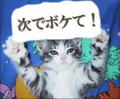 NowLoading...