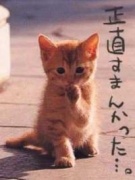 NowLoading...