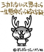 NowLoading...