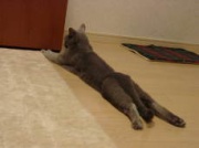NowLoading...