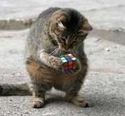 NowLoading...