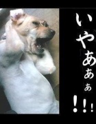 NowLoading...