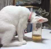 NowLoading...