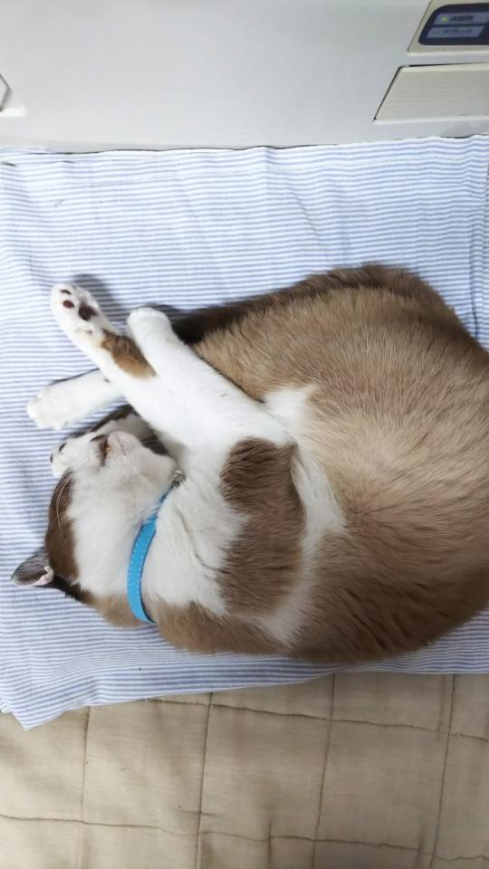 NowLoading...