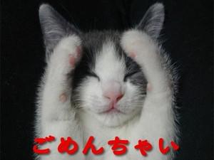 NowLoading...
