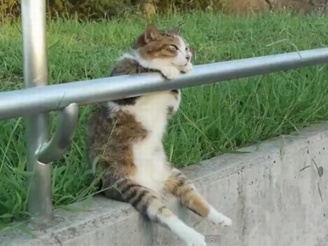 NowLoading...