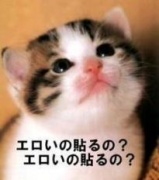 NowLoading...