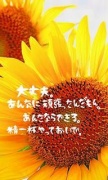 NowLoading...