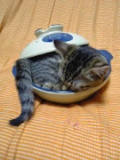 NowLoading...
