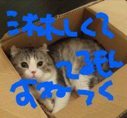 NowLoading...