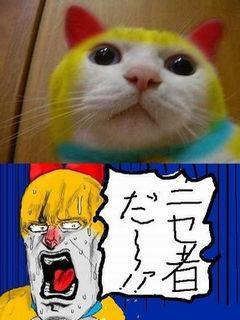 NowLoading...