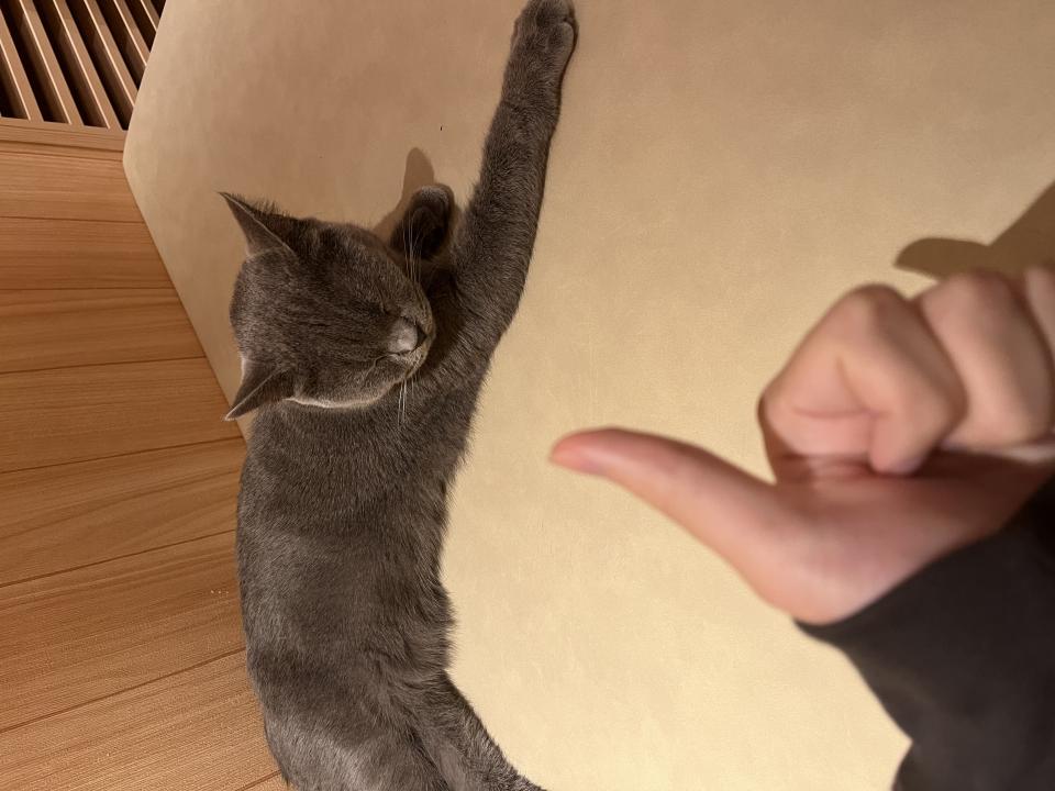 NowLoading...