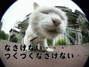 NowLoading...