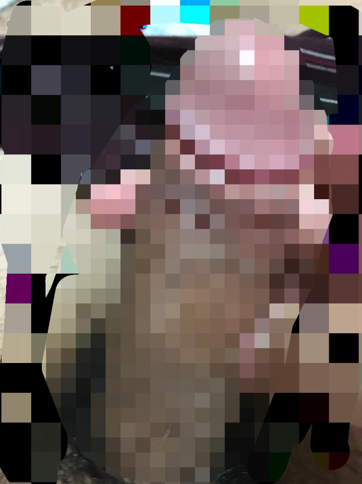 NowLoading...
