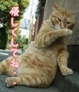 NowLoading...