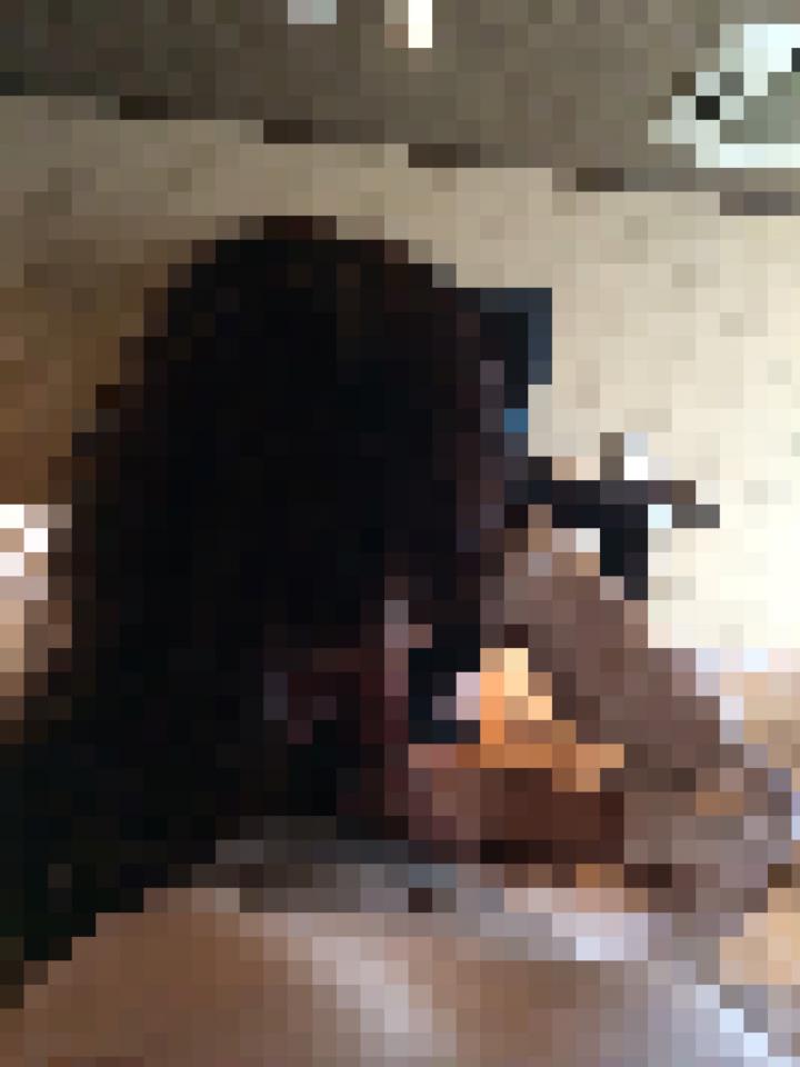 NowLoading...
