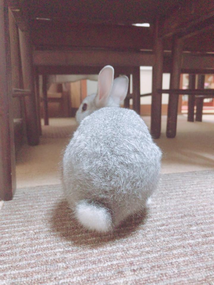 NowLoading...