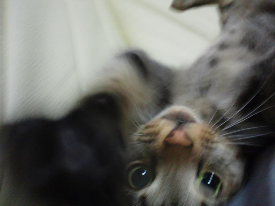 NowLoading...