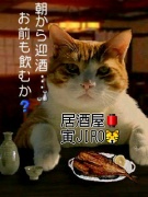 NowLoading...
