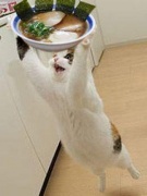 NowLoading...