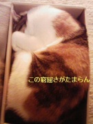 NowLoading...