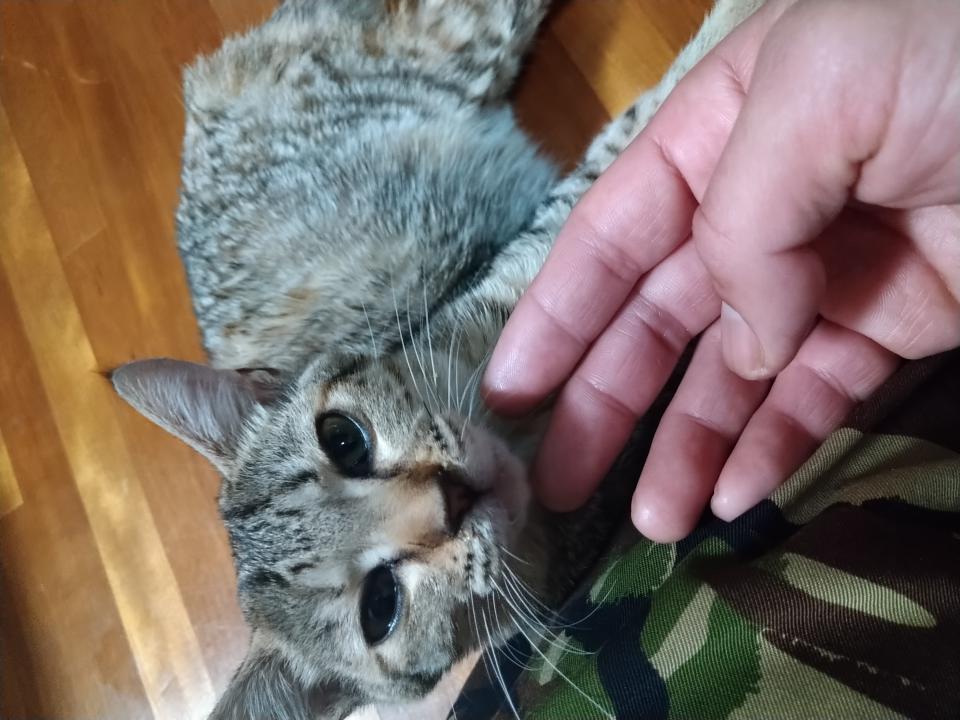 NowLoading...