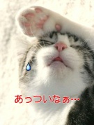 NowLoading...