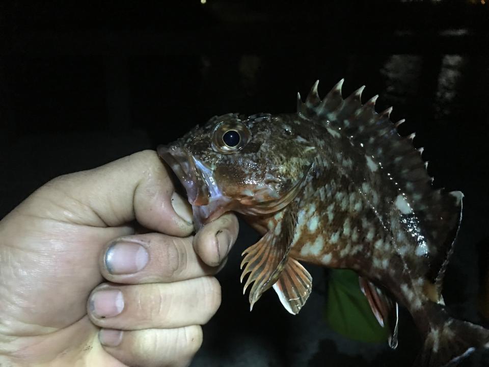 NowLoading...