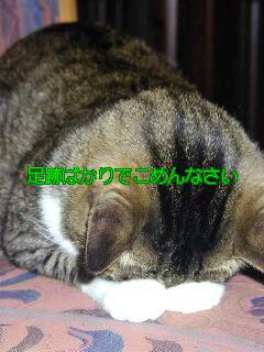NowLoading...
