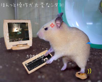 NowLoading...
