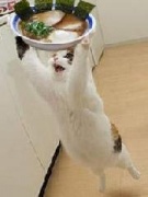 NowLoading...