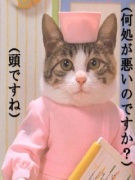 NowLoading...