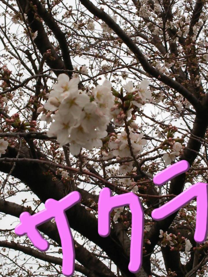 NowLoading...