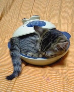 NowLoading...
