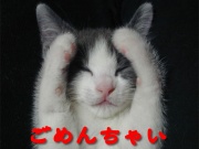 NowLoading...