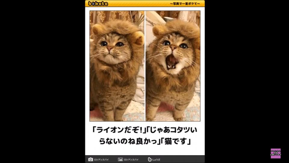 NowLoading...