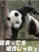 NowLoading...