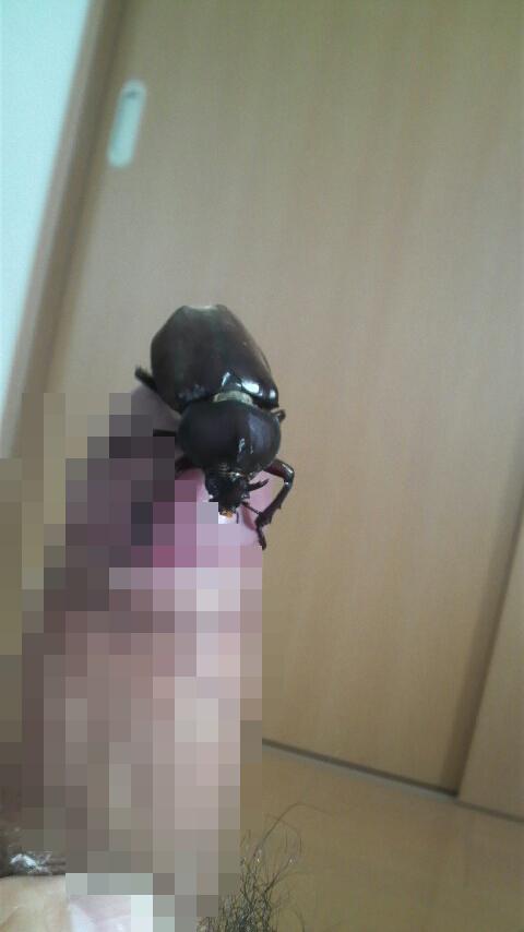 NowLoading...