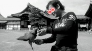 NowLoading...