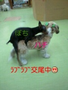 NowLoading...