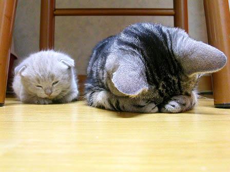 NowLoading...