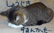NowLoading...