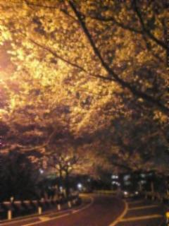 NowLoading...