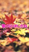 NowLoading...