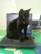 NowLoading...