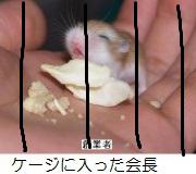 NowLoading...