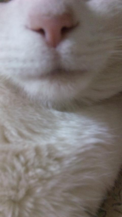 NowLoading...