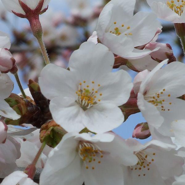 NowLoading...